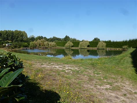 Achat d’étangs de pêche dans le Loiret : Trouvez le vôtre