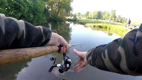 Astuces et Techniques pour Réussir la Pêche à la Truite en Étang