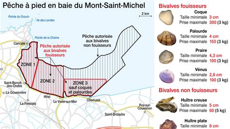 Carte Interactive et Réglementation de la Pêche à Pied en France