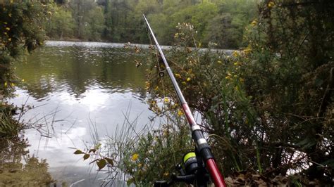 Comment réussir la pêche à la truite en étang ?