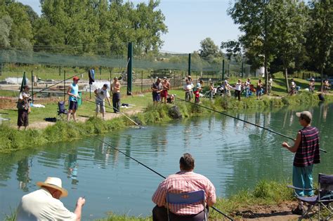 Comment Trouver un Étang de Pêche à Proximité pour la Carpe, la Truite et le Brochet ?