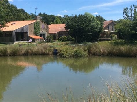 Découvrez les Gîtes de Pêche en Vendée : Un Séjour Idyllique au Bord de l’Étang