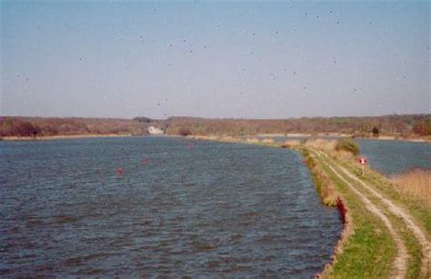 Étang de Mittersheim : Avis, Tarifs et Informations pour la Pêche