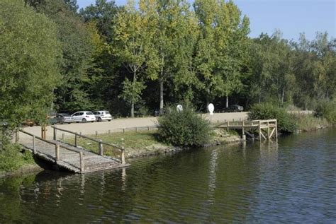 Étang de Péronne : Avis, Tarifs et Réglementation pour la Pêche