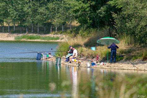 Explorez les Meilleurs Campings avec Étang de Pêche en Vendée