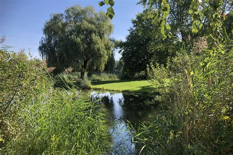 Explorez les Meilleurs Campings avec Étangs de Pêche en Alsace