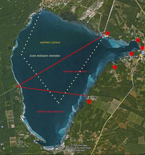 Guide de Pêche à Biscarrosse et Grands Lacs Landais : Spots et Tarifs