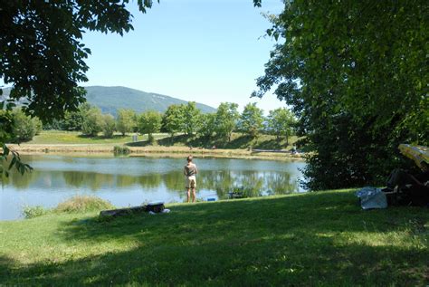 Guide de Pêche à lÉtang de la Vallée : Infos et Réglementation