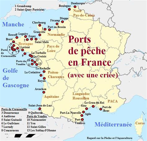 Guide Pratique 2024: Prix et Achat de la Carte de Pêche en France