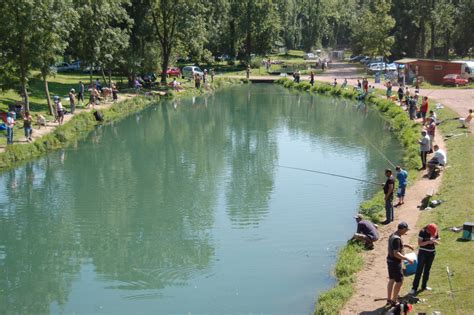 Les Meilleurs Étangs de Pêche à la Truite dans le Pas-de-Calais?