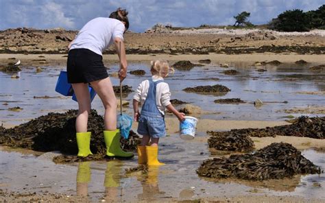 Où pratiquer la pêche à Royan ? Découvrez les meilleurs spots