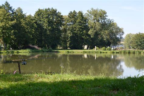 Où trouver des étangs de pêche à la carpe en France ?