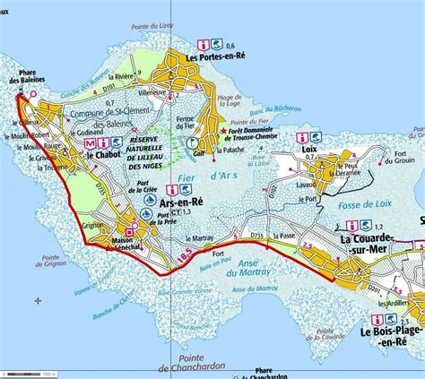 Quels sont les plaisirs et réglementations de la pêche à pied sur l’île de Ré?