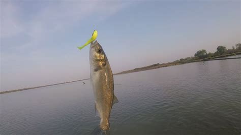 Règlementation et Pratiques de Pêche à l’Étang de Berre