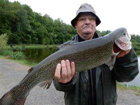 Techniques et Astuces pour la Pêche de Grosses Truites en Étang