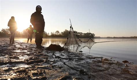 Découvrez les Traditions de la Pêche d’Étang en Brenne