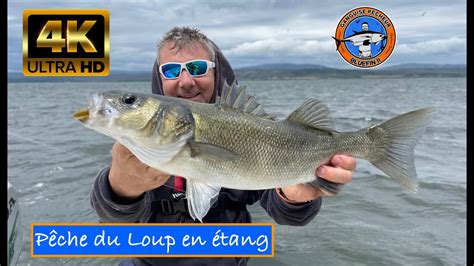 Explorez la Pêche du Loup à l’Étang de Leucate