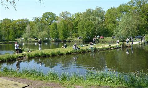 Explorez les Étangs de Pêche dans l