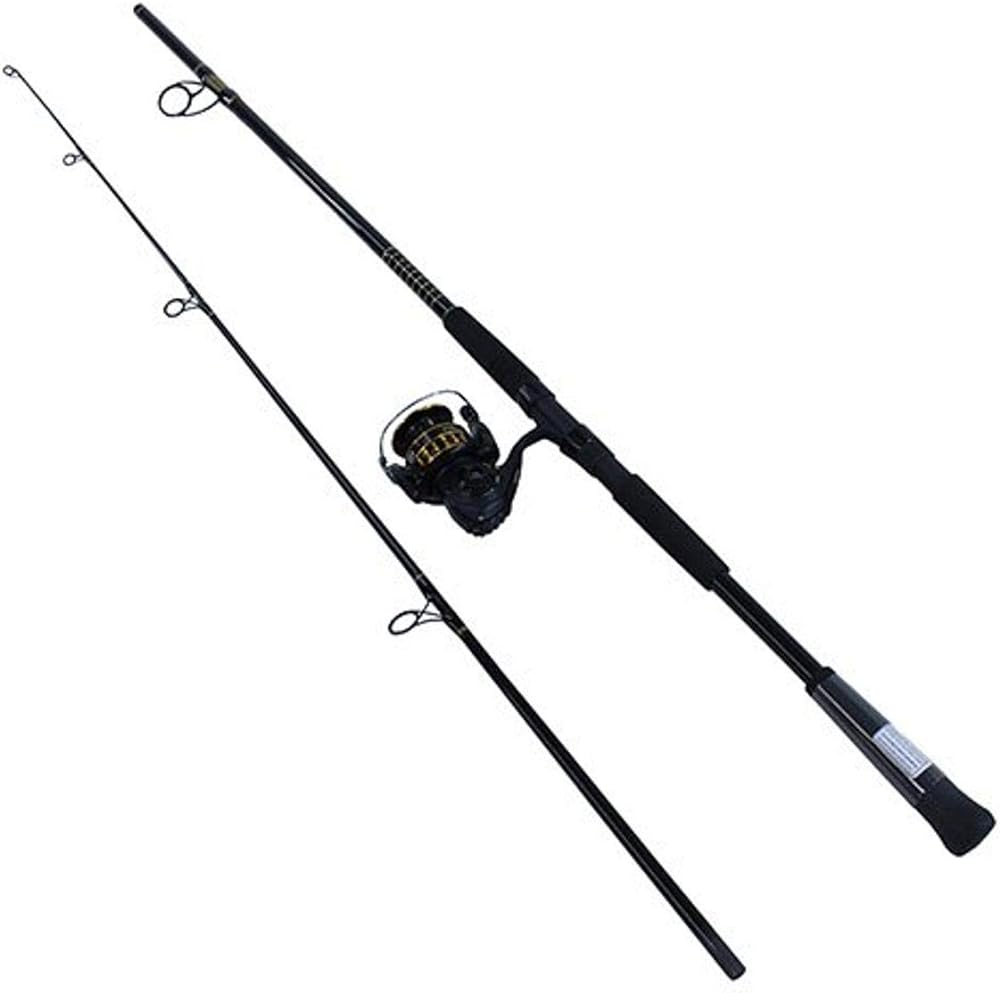 Analyse du combo spinning Daiwa BG4000/802m BG pour la pêche en eau ...